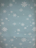 RB Northern Lights Sky Flannel