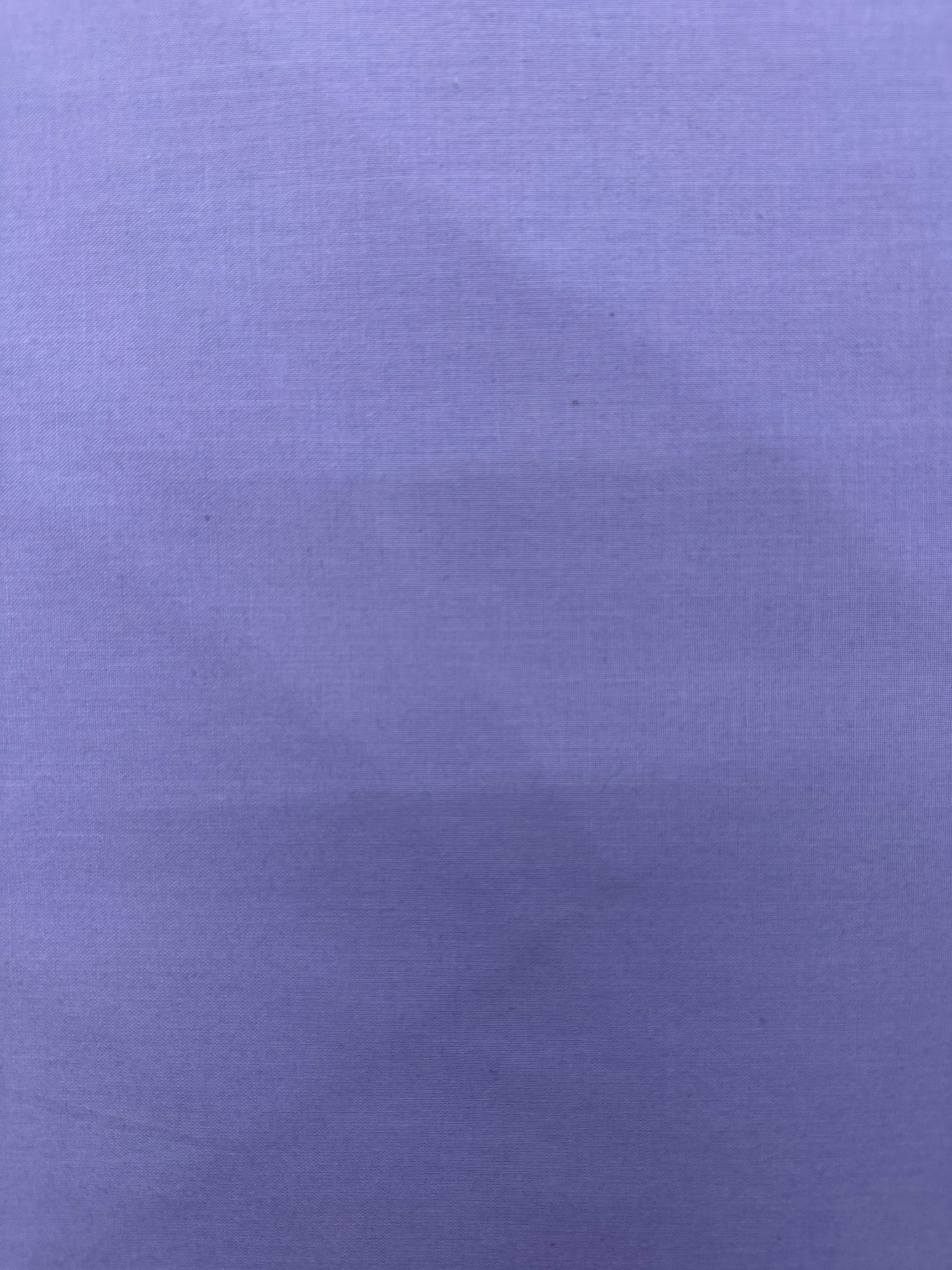 WD Ruby and Bee Purple