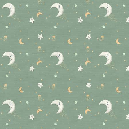 CW Among the Stars Sage-Sky Adventures