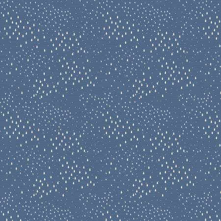 CW Starry Rain Navy-Sky Adventures