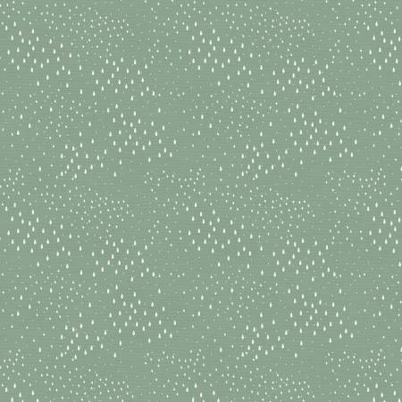CW Starry Rain Sage-Sky Adventures
