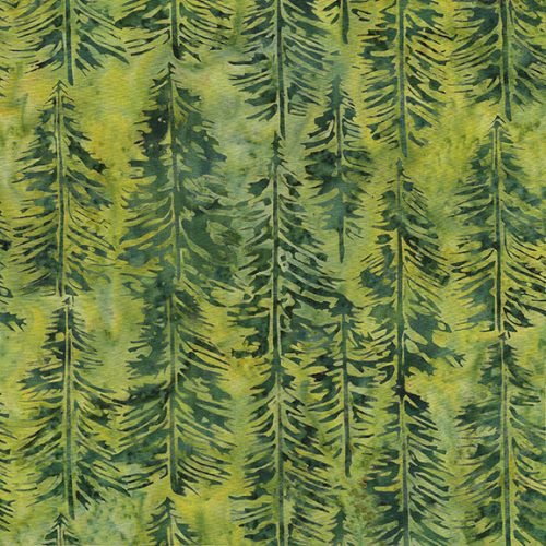 IB  Evergreen Green Ivy