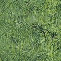 IB  Grass-Green Avocado