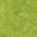 IB  Sunflower-Green Lemongrass