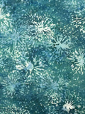 HO Sea Urchin Sea Mist
