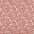 TIL-Winter-Avery Red-Creating Memories