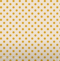 TIL-Spring-Polkadot Yellow-Creating Memories