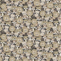 HG Multi Packed Kitties-Big Kitties
