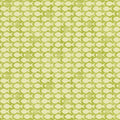 BE Fish & Bones Lime