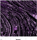 BE Cat Artistry Circled Swirl Purple