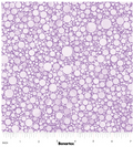 BE Cat Artistry Circle Pop Light Purple