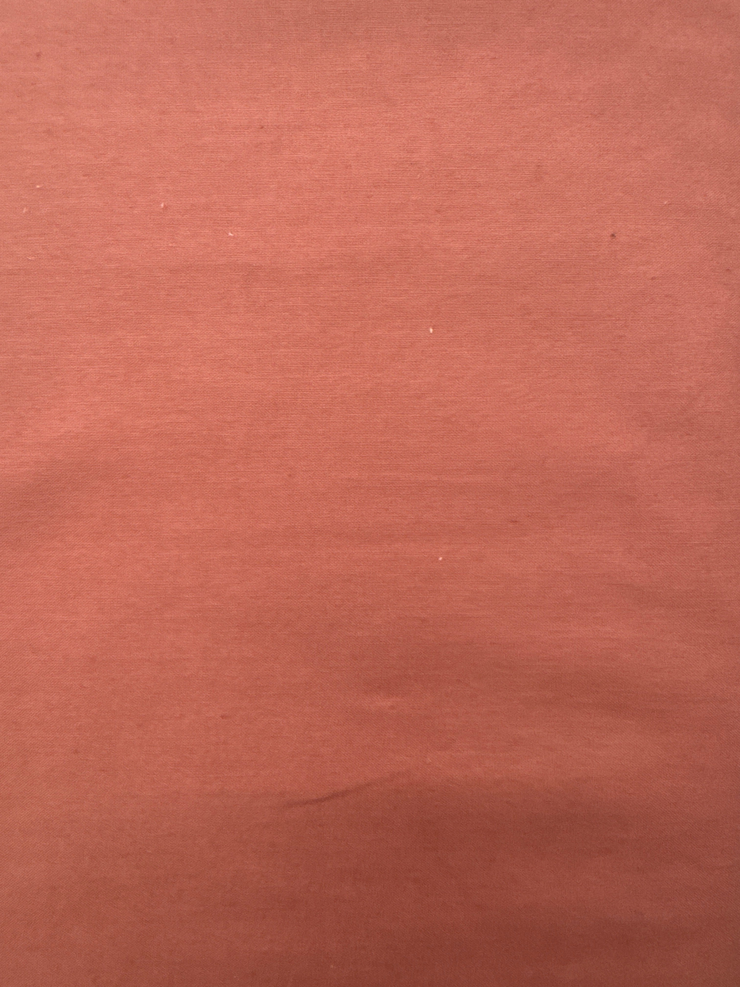 WD Ruby and Bee Solids Rose