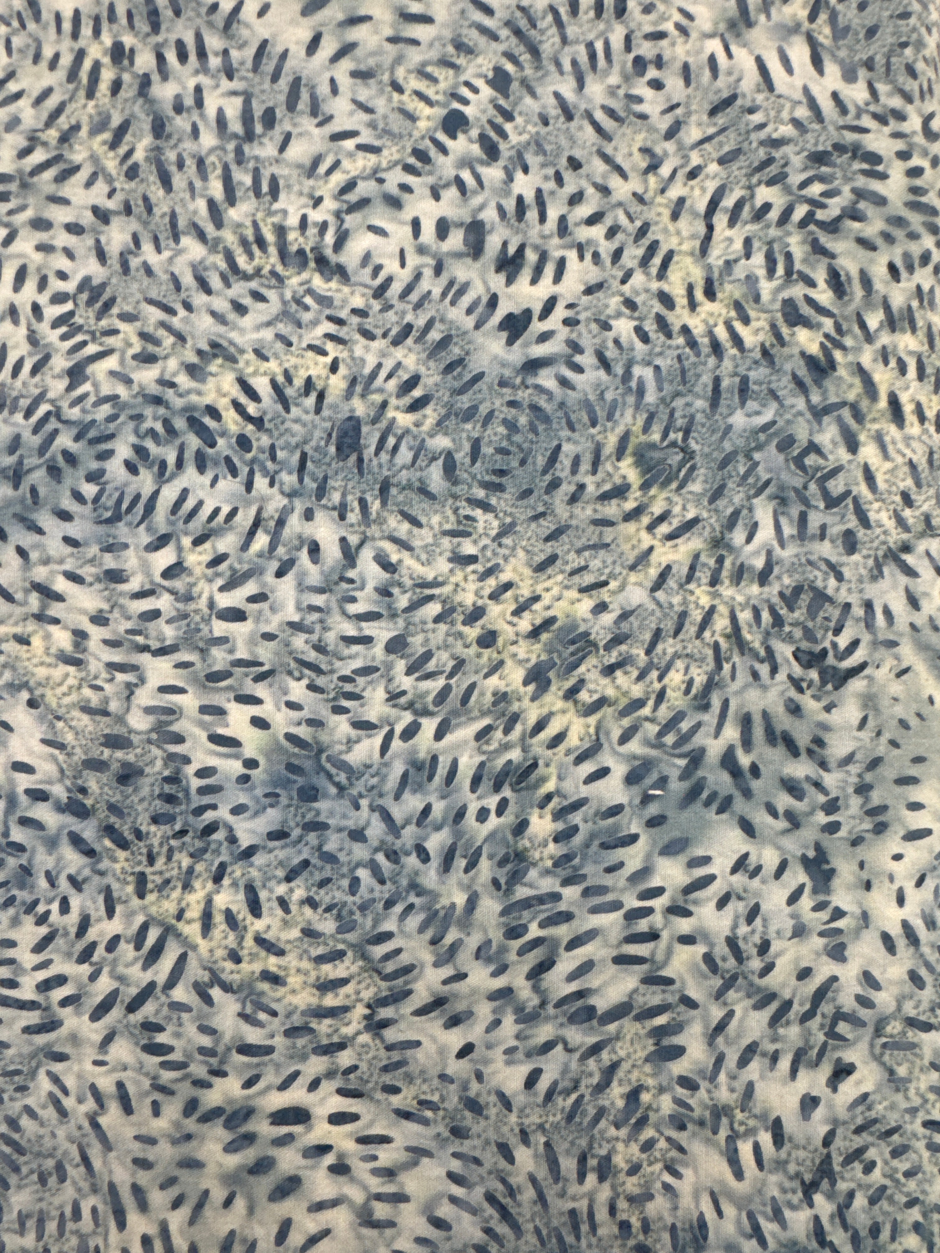 RB Expressions Mountain High Bayern