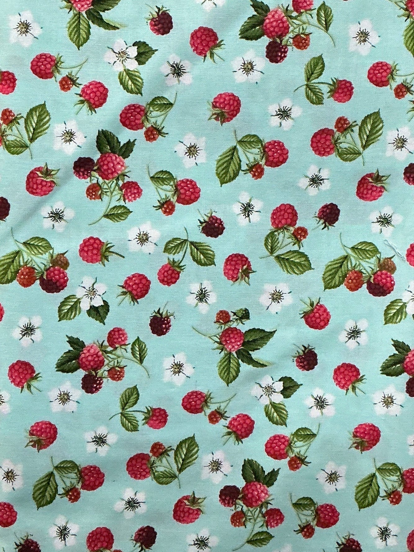 MA Flowers Raspberries