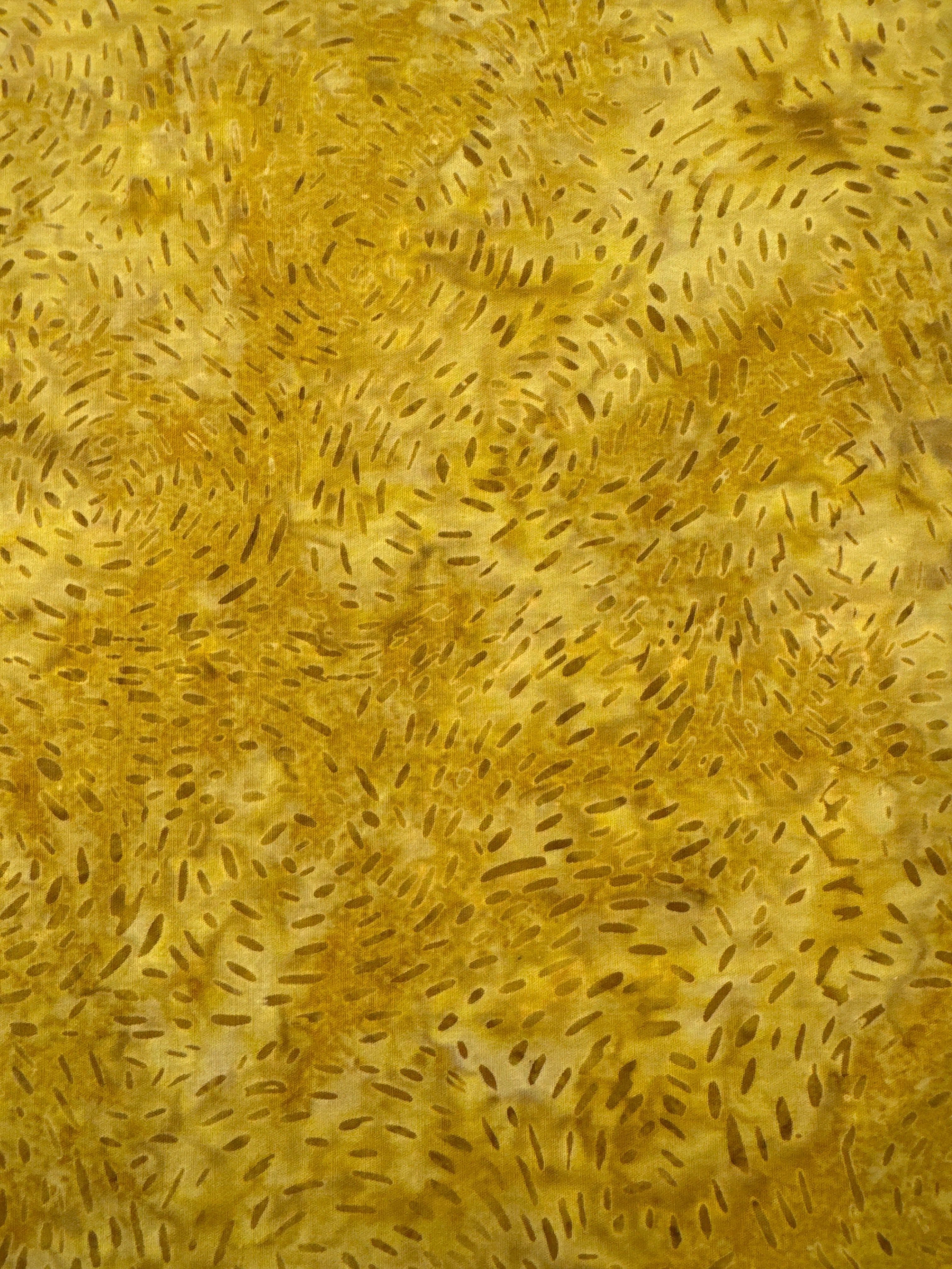 RB Expressions Mountain High Grain