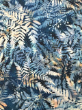 HO Navy Ferns