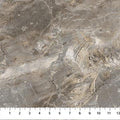 NC Stonehenge Warm Gray