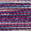 Isacord Multi 9918 Ol'glory