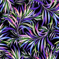 QT Posh Palms