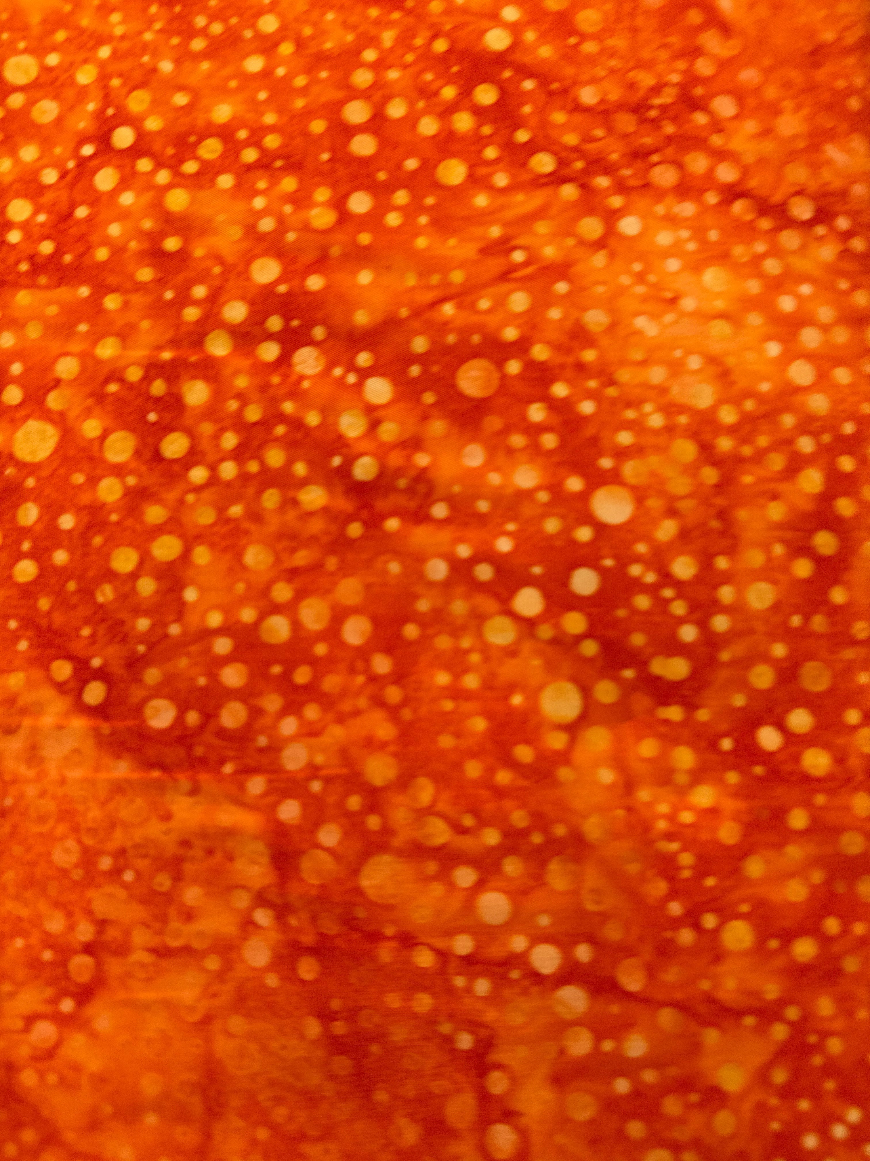 RK Dotted Goldfish