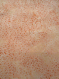 HO Sherbet Dots Coral