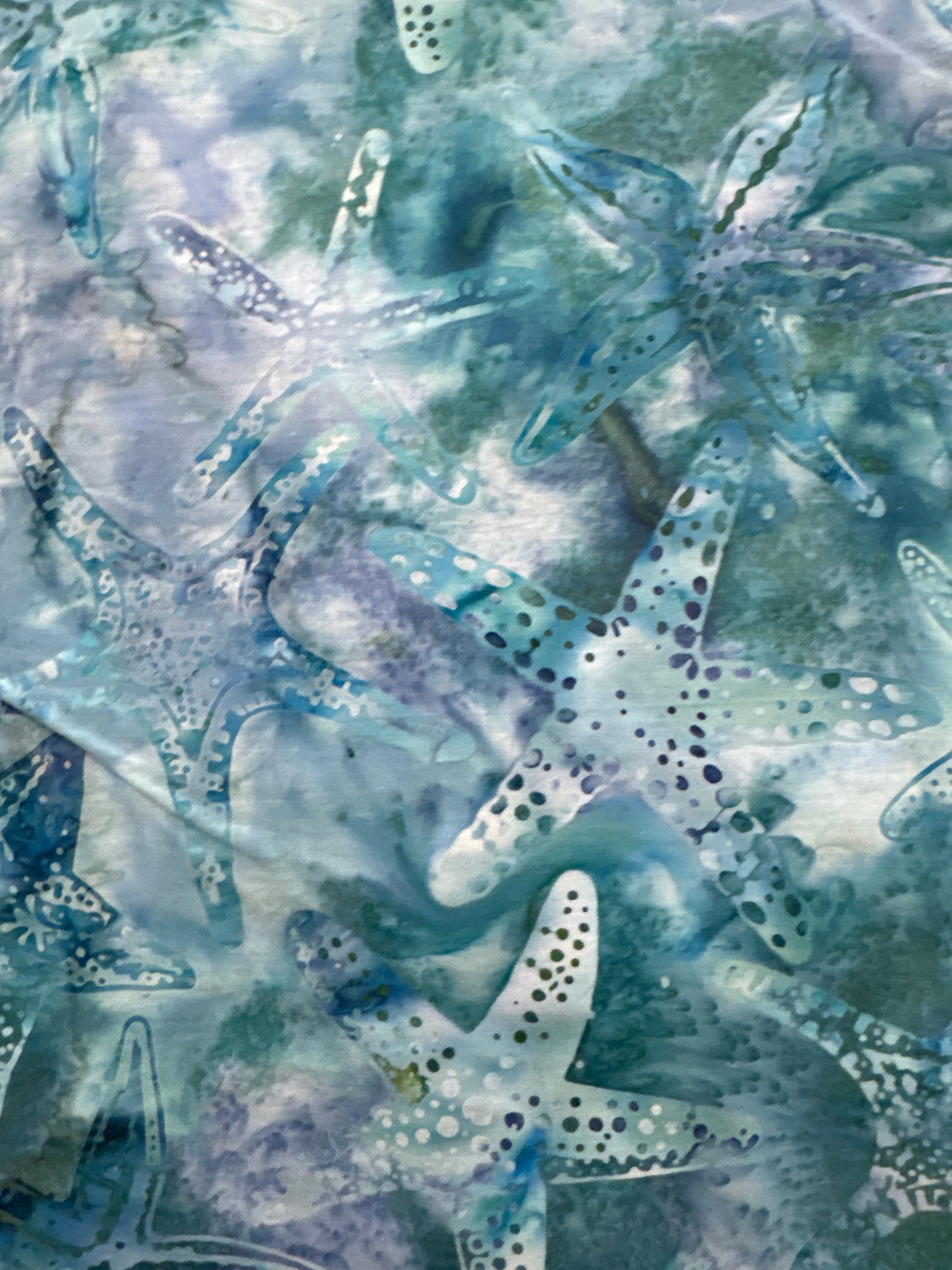 HO Aqua Starfish