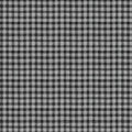 WL Nose to Nose 39687 909 Grey Plaid