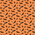 WL Orange Bats Toss