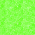 Green Chlorophyll Juicy Tonal Trio Cotton 44"/45" Fabric Per Yard