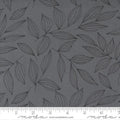 MO Create Graphite