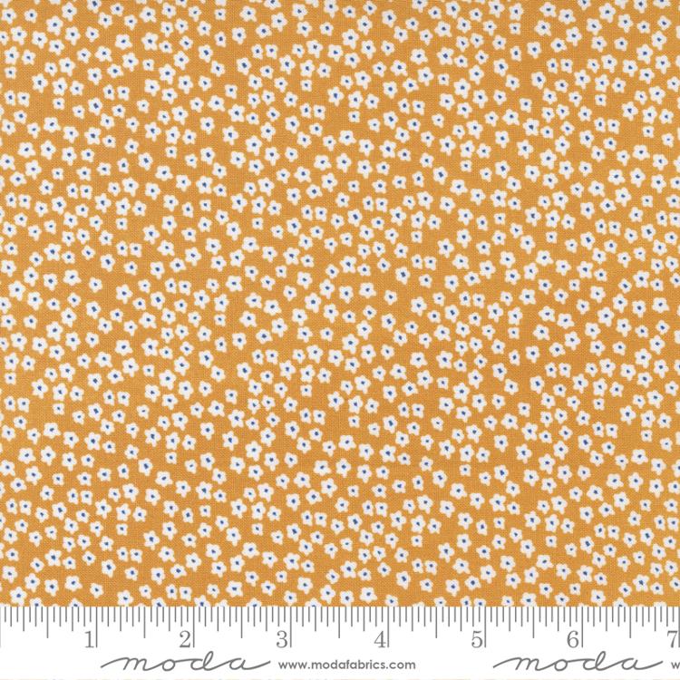 MO Graze Blooms Sunshine