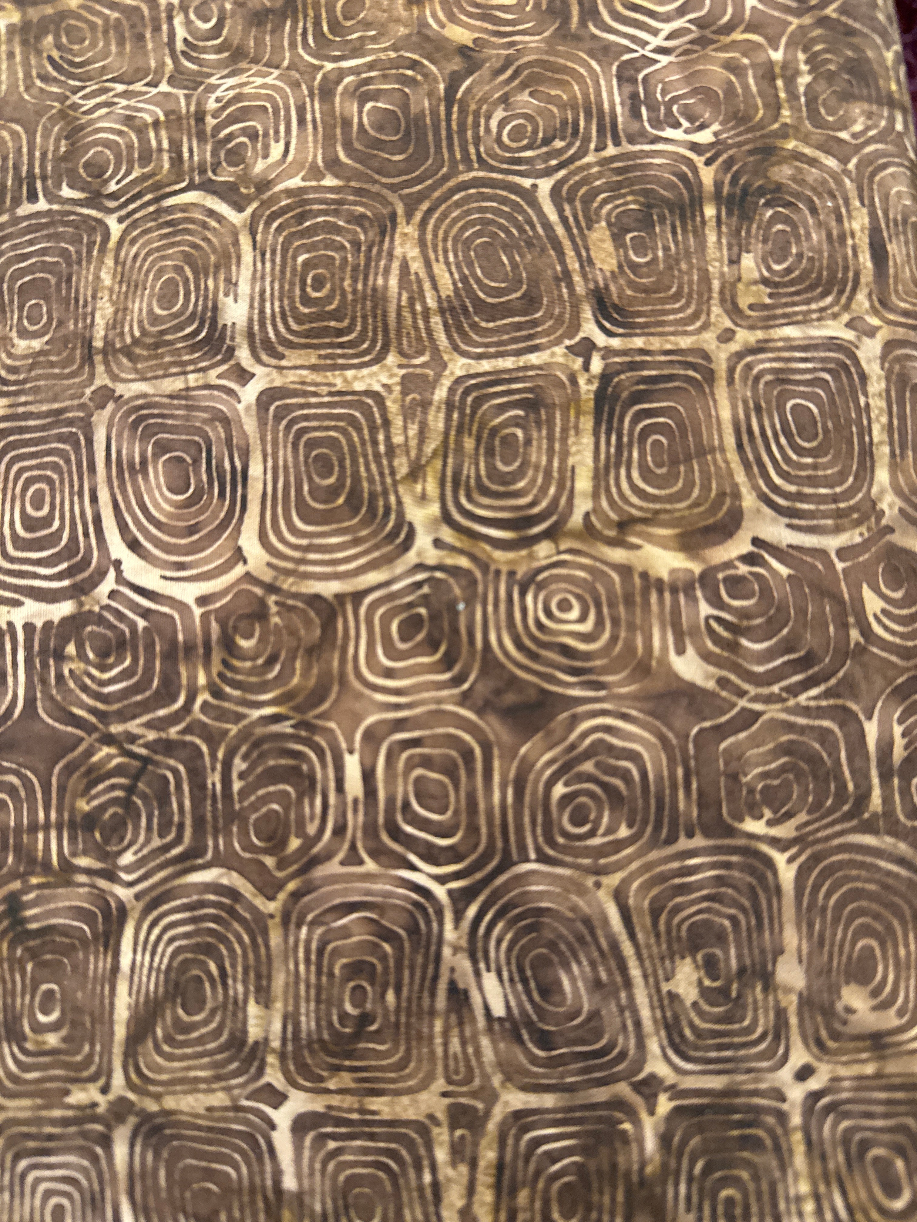 HO Tree Rings Bark