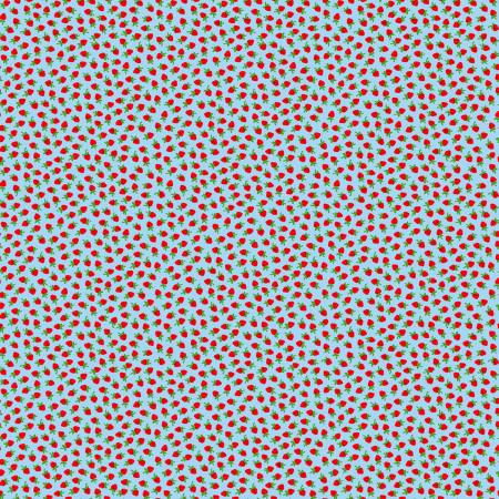 WD Strawberries Light Blue