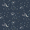 WD Moonlit Moths Night Under the Moonlight