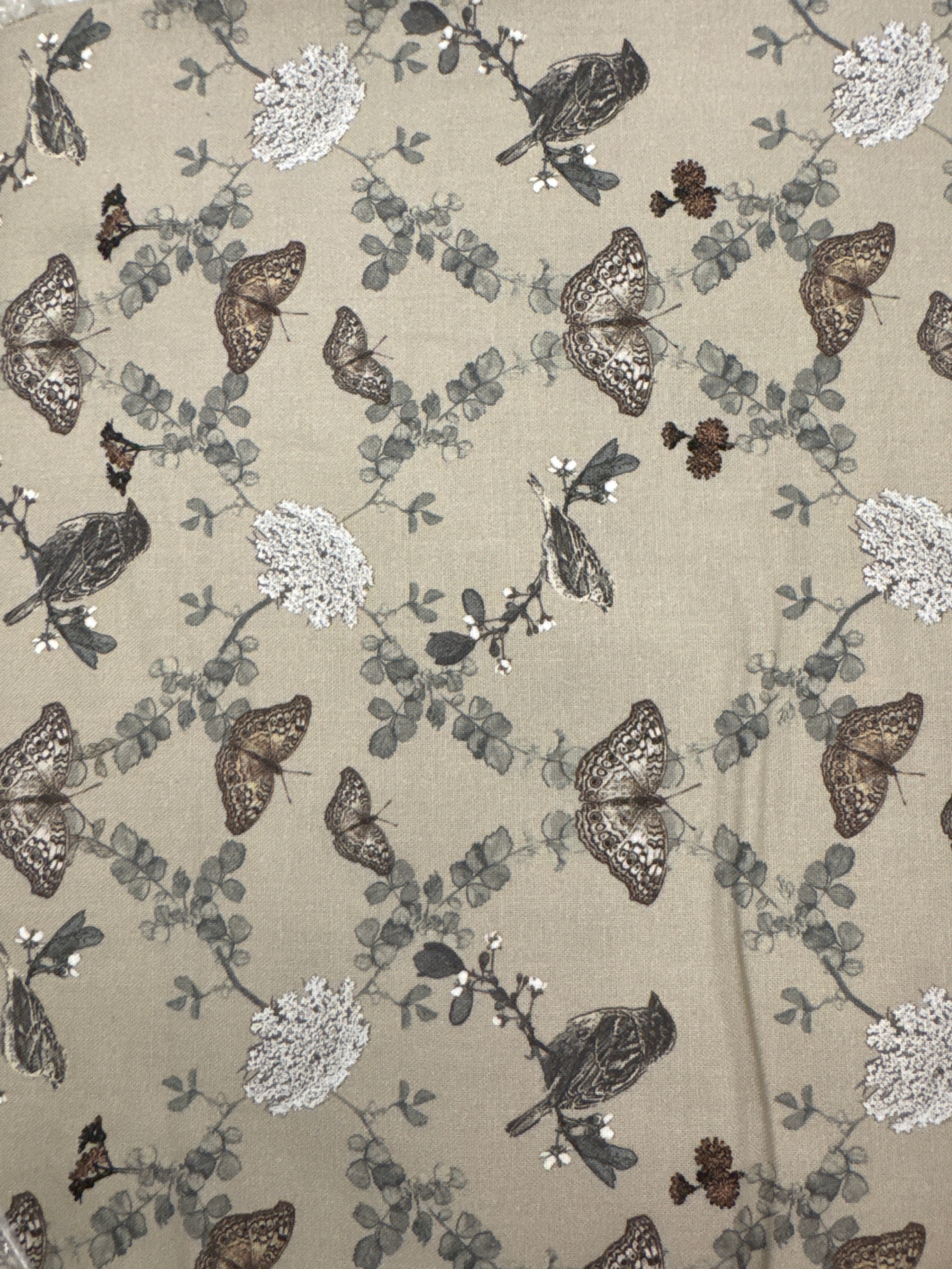BF Natures Whisper Butterflies and Birds Clay