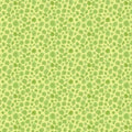 WD Soft Green First Spots King Of The Jungle