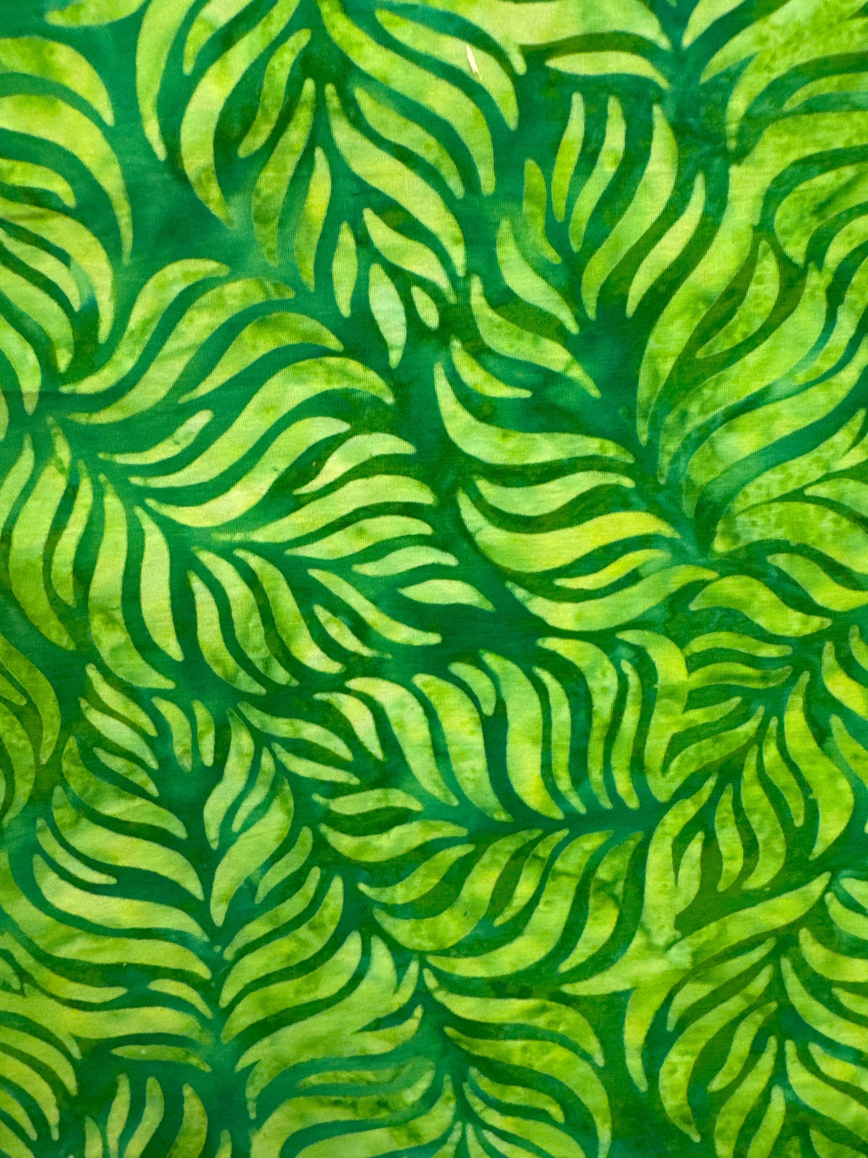 RK Tropical Haven Palm