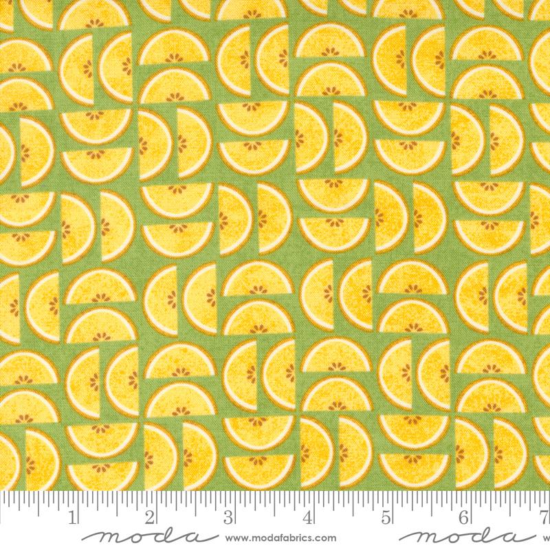 MO Fruit Loop Kiwi