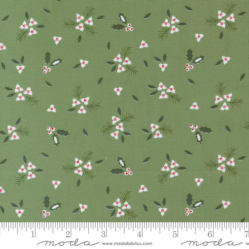 MO Starberry Green 29182 13