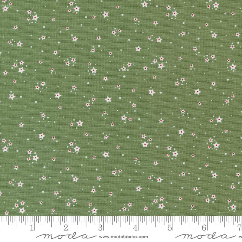MO Starberry Green 29187 23