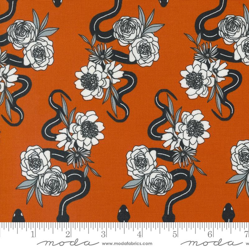 Mo Noir snake Flower Pumpkin 11542 14