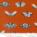 MO Noir Moths Pumpkin 11543 14