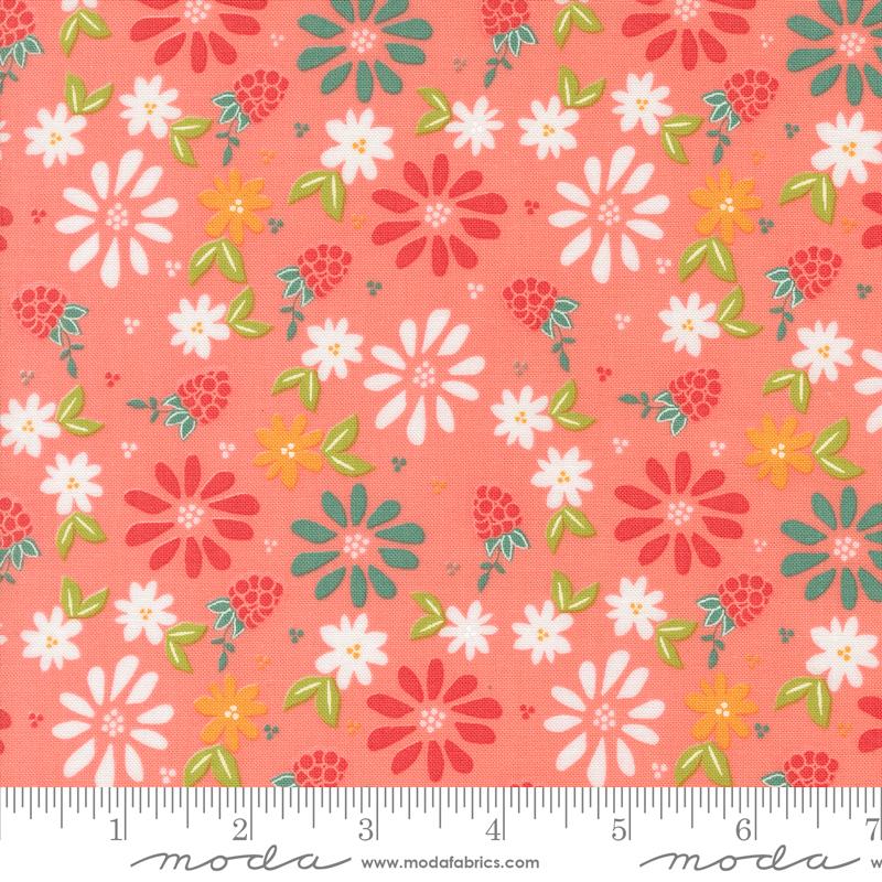 MO Raspberry Summer Carnation 37690-12
