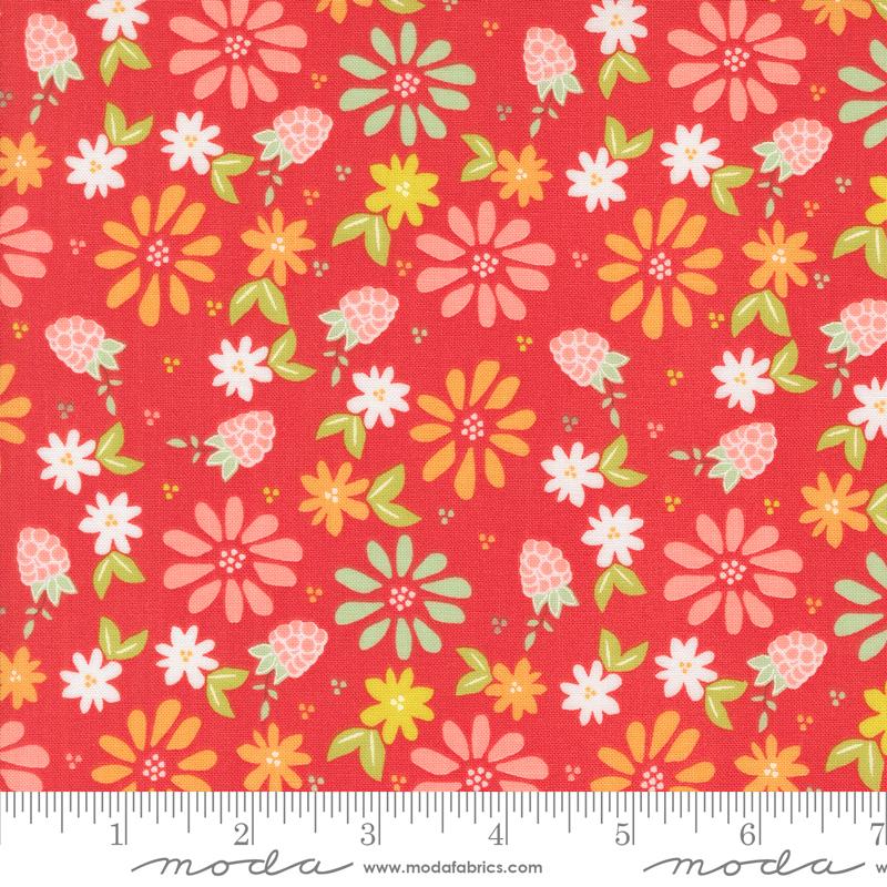 MO Raspberry Summer Raspberry 37690-13