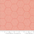MO Bee Garden Carnation 48416-16