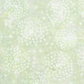 IB Dandelion-Mint