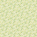 AN Lucky Charms Clover Field