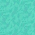 AN Skygazing Borealis
