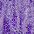 AN Polar Bear Kids Purple 3476-P