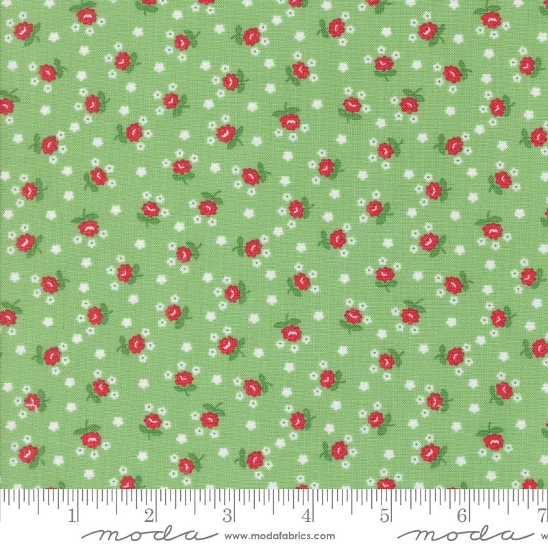 MO Summertime Green 55328-17